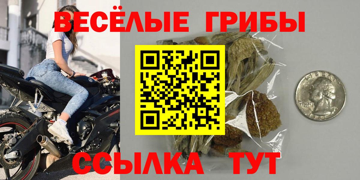 Галлюциногенные грибы Psilocybe  купить  цена  Похвистнево  Вход с VPN 